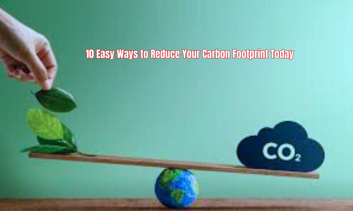 10 Easy Ways to Reduce Your Carbon Footprint Today