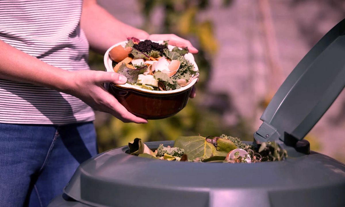 The Power of Composting: Turning Food Waste into Nutrient-Rich Soil