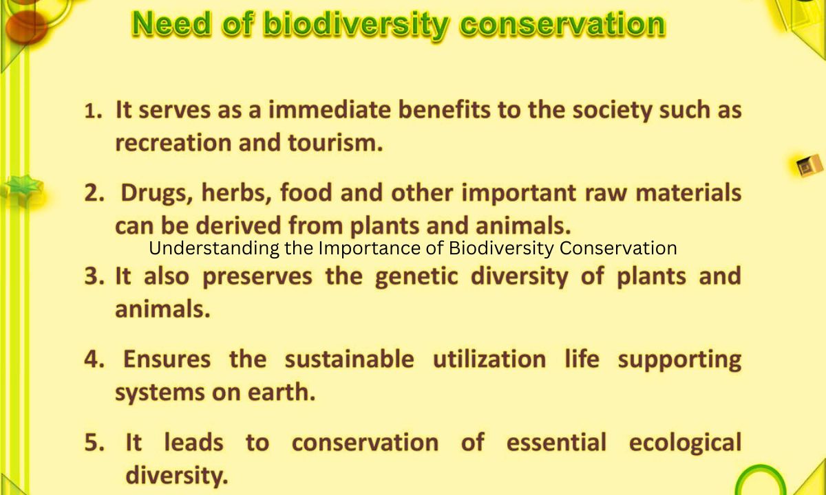 Understanding the Importance of Biodiversity Conservation